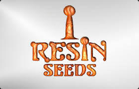 Semienka marihuany Resin Seeds